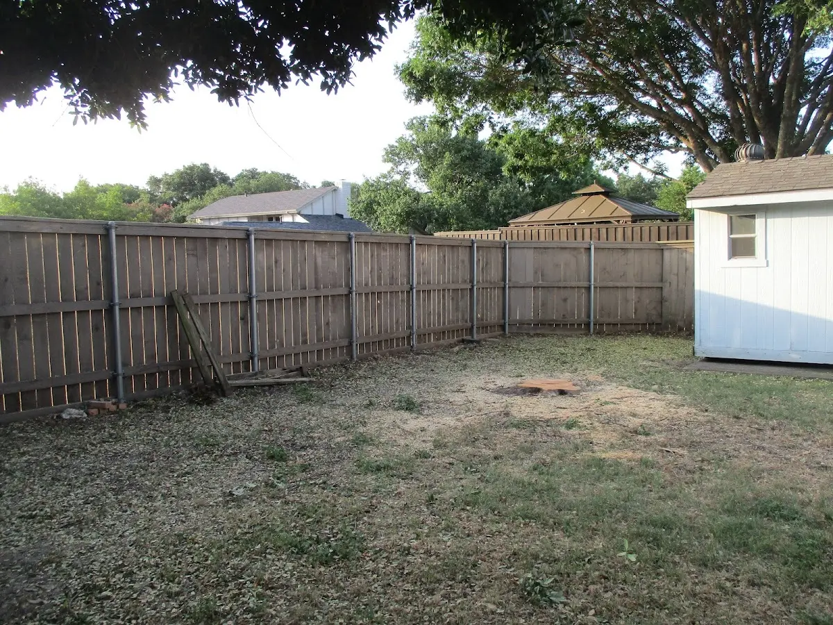 Cleared yard after professional tree removal in Peshtigo